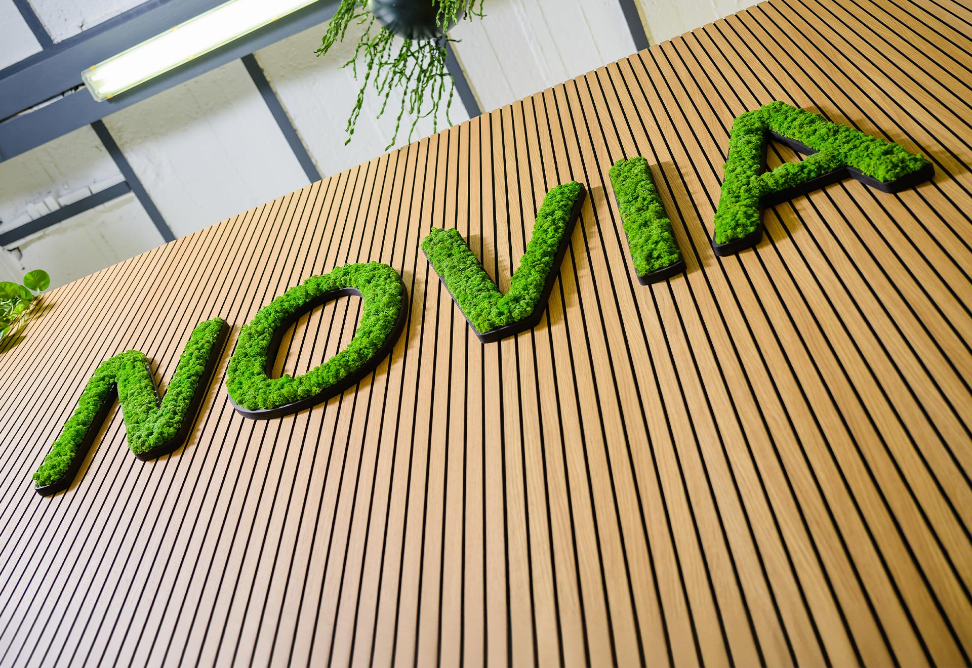 NOVIA GmbH Consulting und Baumanagement - Logo aus Moos auf Holzwand